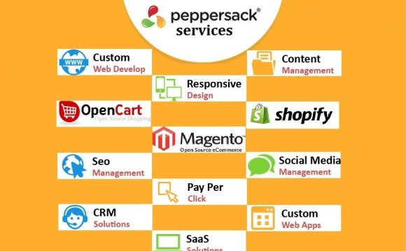 Custom Web Development Company