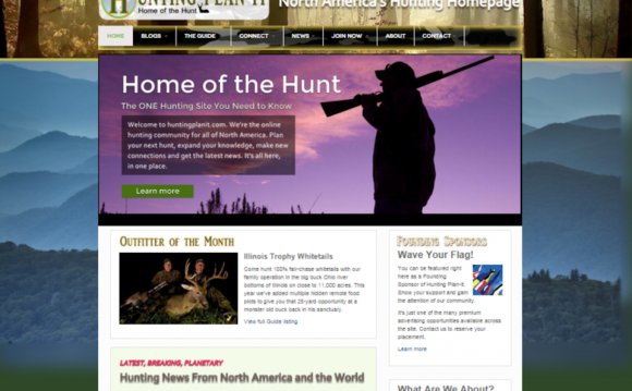 Website designers for