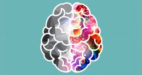 designer developer right brain left brain