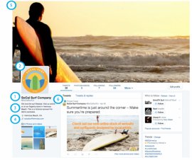 example Twitter profile