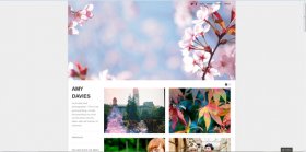 Free photography websites: WordPress