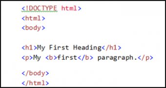 HTML Basics Code