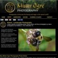 Small business website design portfolio