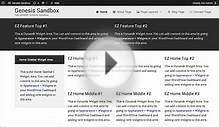 Designing A Website With A Skin Using Dynamik Website