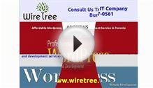 Professional Wordpress Web Design and Development Service
