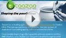 Taazaa: Software Development & Web Designing Company (1)