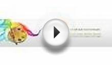 web design and development