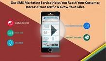 Website Designing & Development Company-OSR WEB SOLUTION