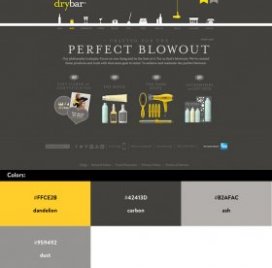 Website color schemes - Drybar